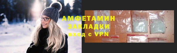 индика Аркадак