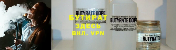 шишки Гусиноозёрск