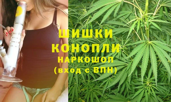 прущие крисы Арсеньев