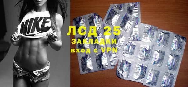 индика Аркадак