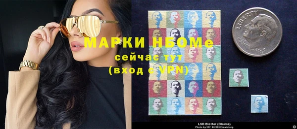 индика Аркадак