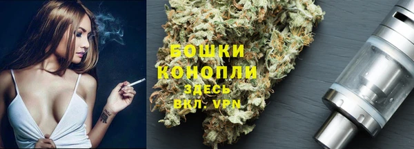 индика Аркадак
