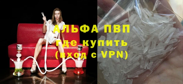 индика Аркадак