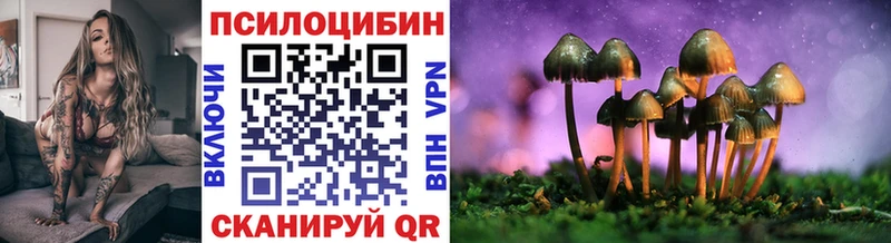 купить Сычёвка Псилоцибиновые грибы мицелий